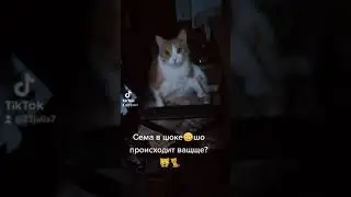 Семён не моргает, залип😳