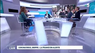Coronavirus, grippe : la France en alerte 