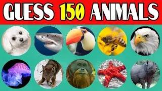 The Ultimate 150 Animal Picture Quiz: Can You Get Them All?
