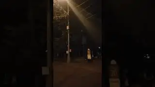 Осень в Парке Сокольники. День города  Москвы.