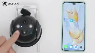 C5 インターネットビデオ