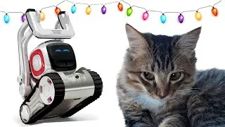 Робот Козмо, кот и Новый год / Робот Anki Cozmo