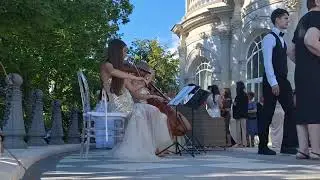 Sway - скрипка и виолончель | violin & cello