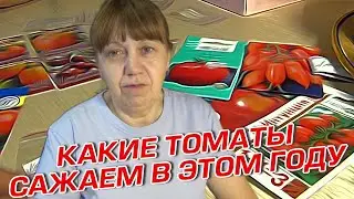 КАКИЕ ТОМАТЫ САЖАЕМ В ЭТОМ ГОДУ