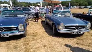 The Mercedesbenzclub Pagoda day at Cranleigh classic