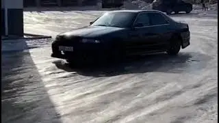 коту на пару слов
