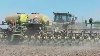 Planting Dry Beans 2020