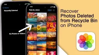 Recover Photos Deleted from Recycle Bin on iPhone! [2023]