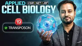 Genome Organization | Applied Cell Biology | CSIR NET Dec. 2024 | Emotion 4.0 | IFAS