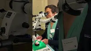 Enhancing Resident Wet Labs with Our Cutting-Edge Eye Models