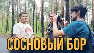 Сосновый Бор⚡️Андерсенград и не только🏘
