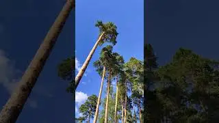 02.08.2024 #travel #music #красота
