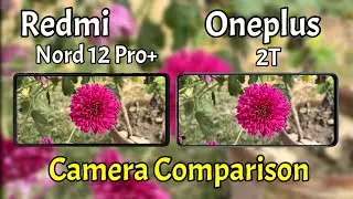 Redmi Note 12 Pro Plus VS Oneplus Nord 2T Camera Comparison