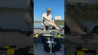 🔥Окские щучки #щука #джиг #ока #муром #рыбалкасгидом