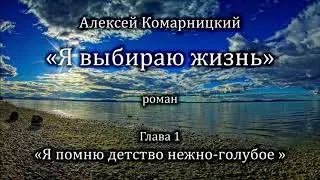Алексей Комарницкий 