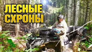 В ДРЕВНЕМ ЛЕСУ Нашли Что-То Необычное...