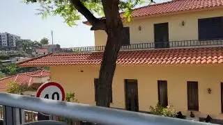 Madeira Yellow Bus Tour