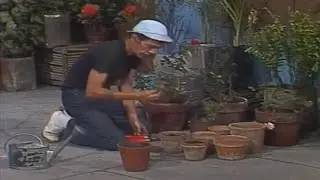 Chaves - As Pessoas Boas Devem Amar Seus Inimigos - (1978) - Parte 1 - Alta Qualidade HD
