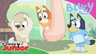 Fjäril | Bluey | Disney Junior Sverige
