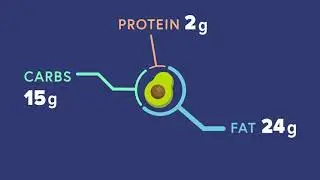 Metabolism 101: What are macronutrients?