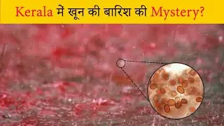 25 Amazing Facts In hindi | Science Facts in Hindi | Facts in Hindi | Interesting Facts