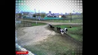 Таймлапс с вебкамеры в Атрякле, 2011 год с 25 сентября по 3 октярбря