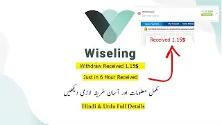 Wiseling Live Withdraw | Wiseling.com Review | Invest Protector | Earn Real Money #Withdraw