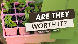 Why Cheap Doesn't Pay (9 Tips to Help You Price Your Plant Starts)