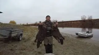 Охота на бобра/в 5 поставил в 9 снял/есть трофеи