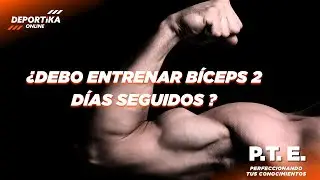 ¿Debo entrenar bíceps 2 días seguidos?