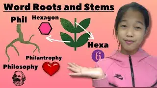 Word Roots and Word Stems - English Linguistics
