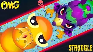 snake.io🐍Orange King snake skin🐍Orange King snake party,Zero to Hero gameplay🐍Snake Struggle