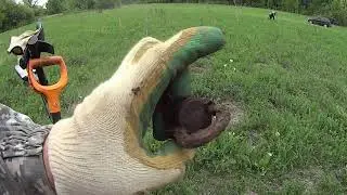 такие вещи я люблю находить!