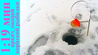 1 мин 19 сек ярких эмоций короткой рыбалки.