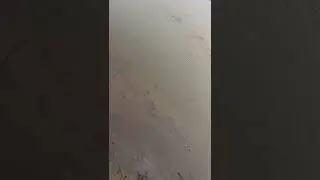 Удачно порыбачил