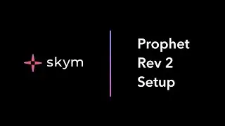 Skym Prophet Rev 2 Setup (Hardware Synth)