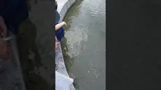 Нурота-чашма👍В состав воды входят различные минералы