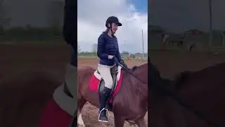🐴🐎