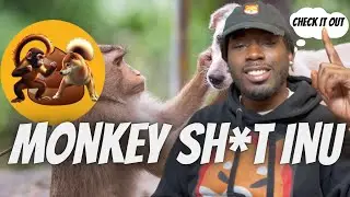 Pablo Cro Has Done it! Monkey Sh*t Inu New Memecoin Review