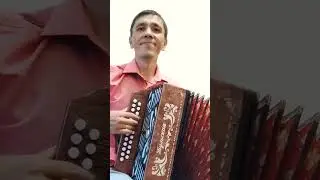 ЧАСТУШКИ НА ГАРМОНИ МАТАНЯ #кариммуратов #частушка #гармонь