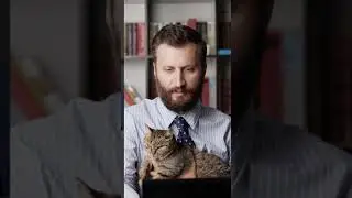 4  habitudes à adopter en travaillant à domicile 