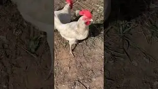 Плаки плаки🐥 