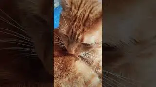 Я ее сегодня достала😂😂♥️😂