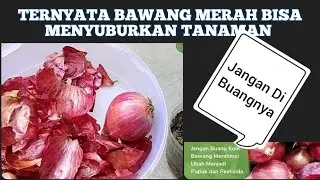 It turns out that red onion skins can make plants fertile and free from pests.