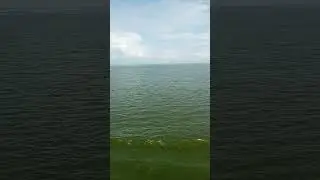 Камское устье (вид с Волги)
