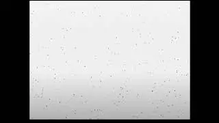 VHS Static Overlay