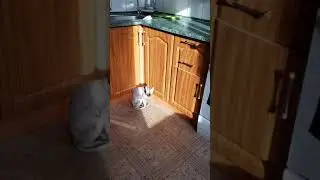 Греется.