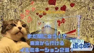 ゆるゆる旅道中記番外編２　今ならまだ間に合う！？東京から行けるイルミネーション２選！　 #short