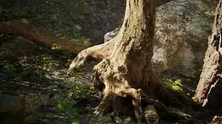 Nanite Forest UE5.1