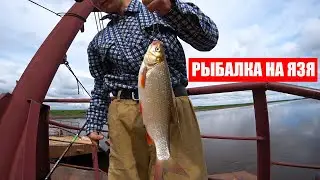 ЗДОРОВЕННЫЙ ЯЗЬ НА УДОЧКУ, РЫБАЛКА НА ДОНКУ